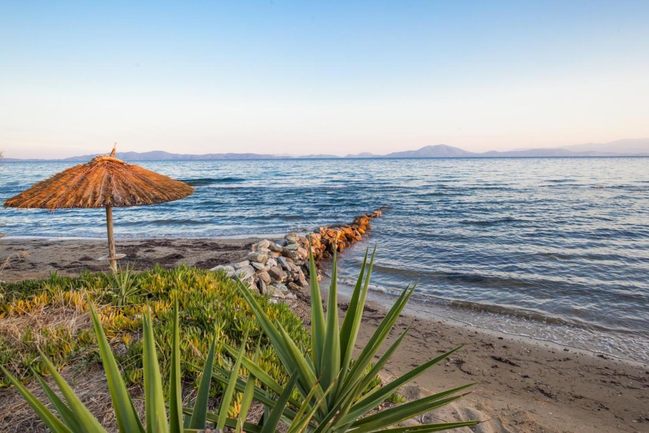 Elite Cottages Káto Lekhónia Zewnętrze zdjęcie